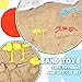 Liberty Imports 3 Pack Large Dinosaur Fossil Sand Molds Beach Toy Set with Rake and Shovel for Kids Summer Outdoors (25 Pcs Playset)