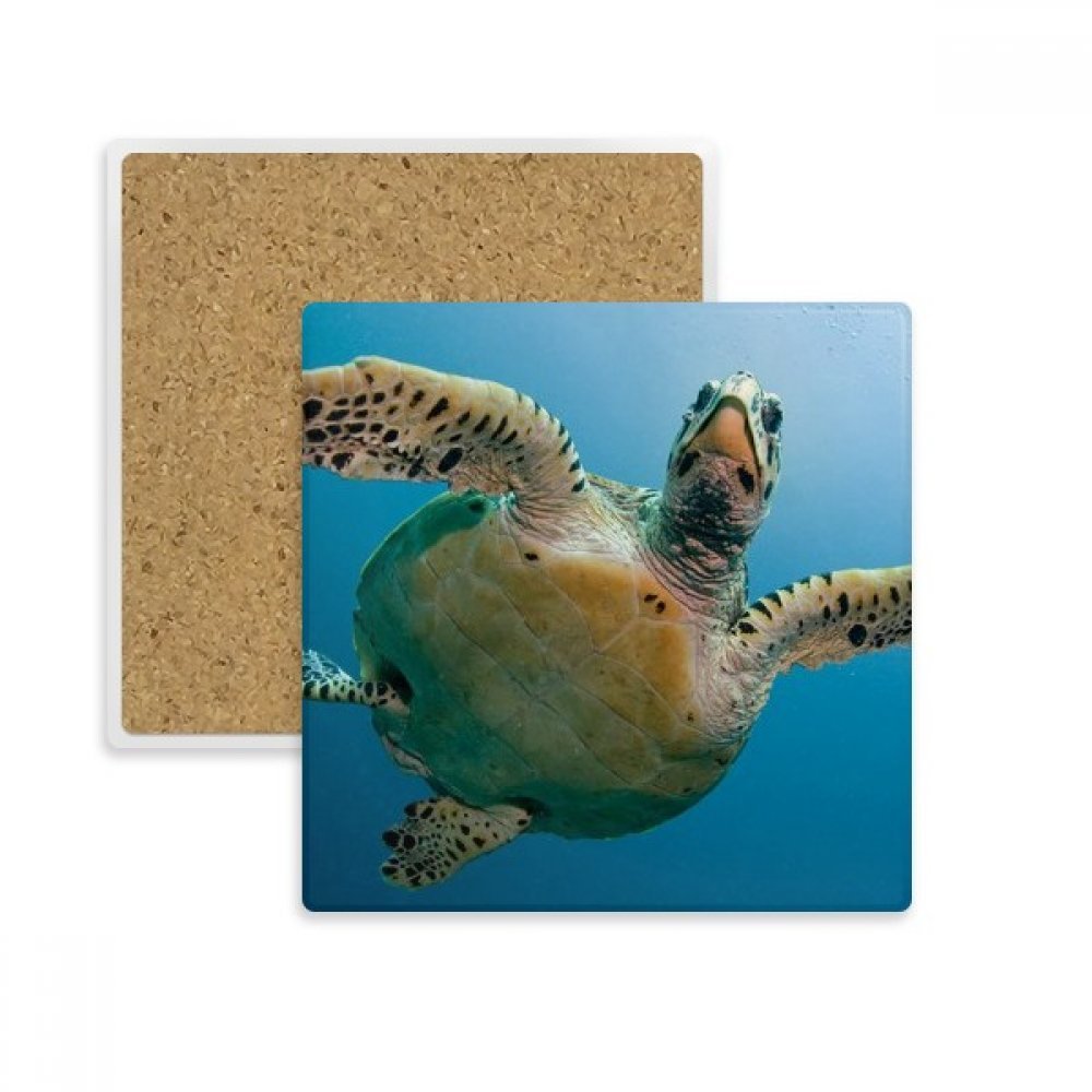 Dessous de verre tortue marine en pierre céramique pour décoration de table