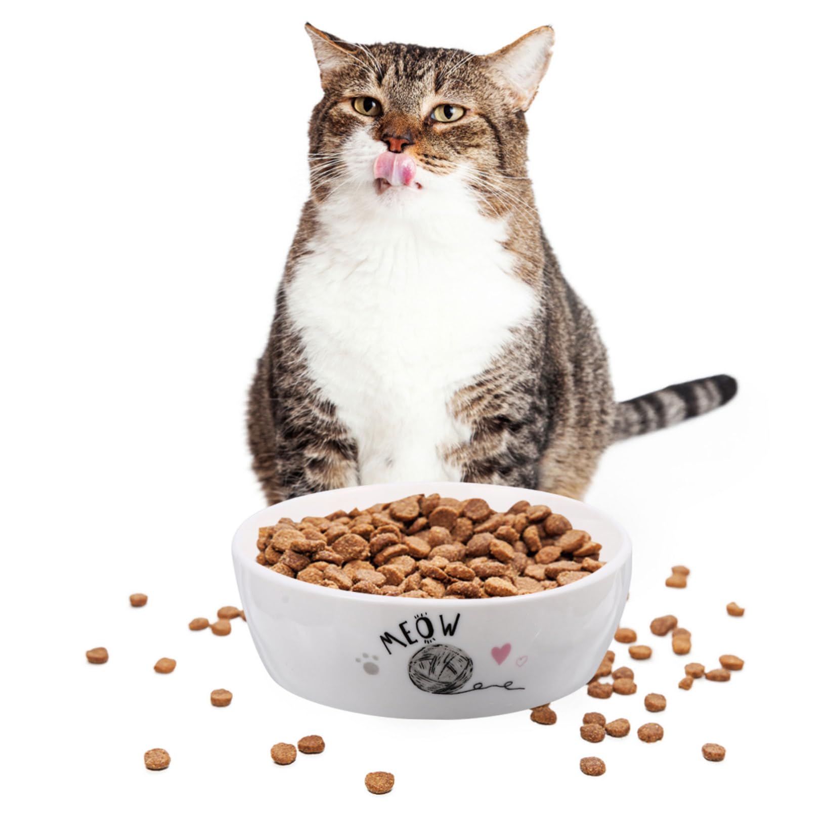 Comedero para Gatos de Cerámica con Diseño Adorable Cuenco Antideslizante para Alimentación y Agua Fácil de Limpiar para Gatitos y Mascotas Pequeñas