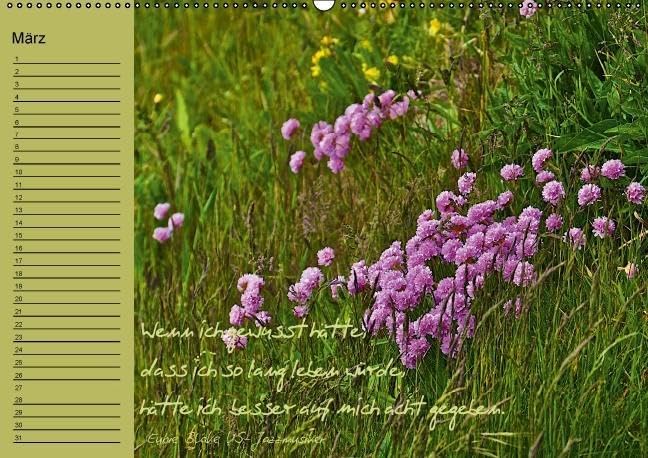 Vergiss mein nicht Geburtstagskalender (Wandkalender immerwährend DIN A2 quer): Immerwährender Terminkalender mit bildschönen Blumenmotive und ... ... Lebensweisheiten (Monatskalender, 14 Seiten)