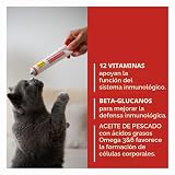 Ver la foto 3