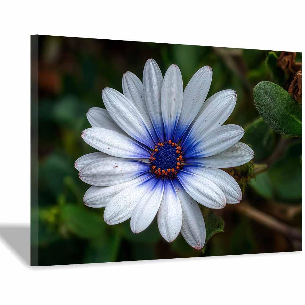 ZAMAEIU Nature Landscape Picture Daisys blossomss Large Modern Scenic Painting, for Living Room Bedroom Bathroom Dinning Room Home Office Wall Decor(white)-30x50cm Framed