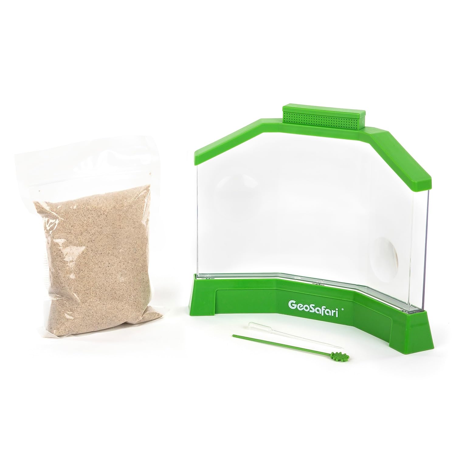 オーストラリア産 タマムシセット2 8-17mm オーストラリア産 タマムシ