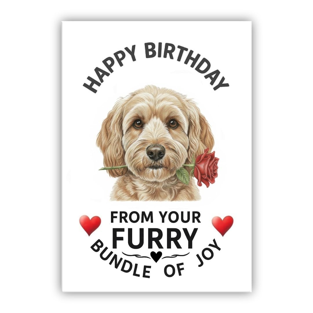 Birthday Card From the Dog – Multiple Breeds Available – Cute & Funny Pet Birthday Card – Dogs Lover Gift (• Cavapoo fawn– Cavoodle)