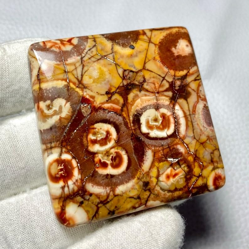 Jaspe œil d'oiseau cabochon de qualité supérieure pour joaillerie fine