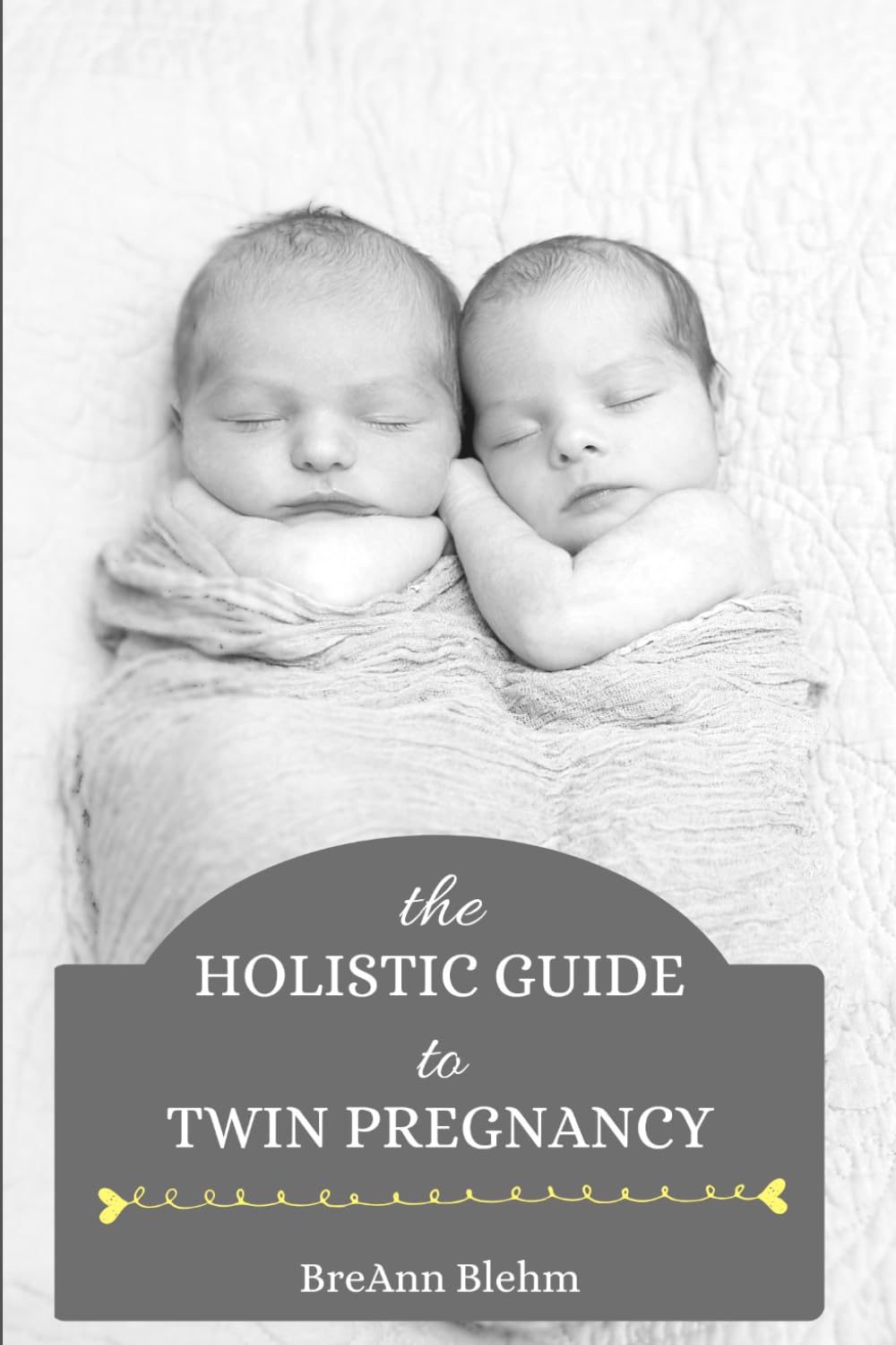 The Holistic Guide to Twin Pregnancy