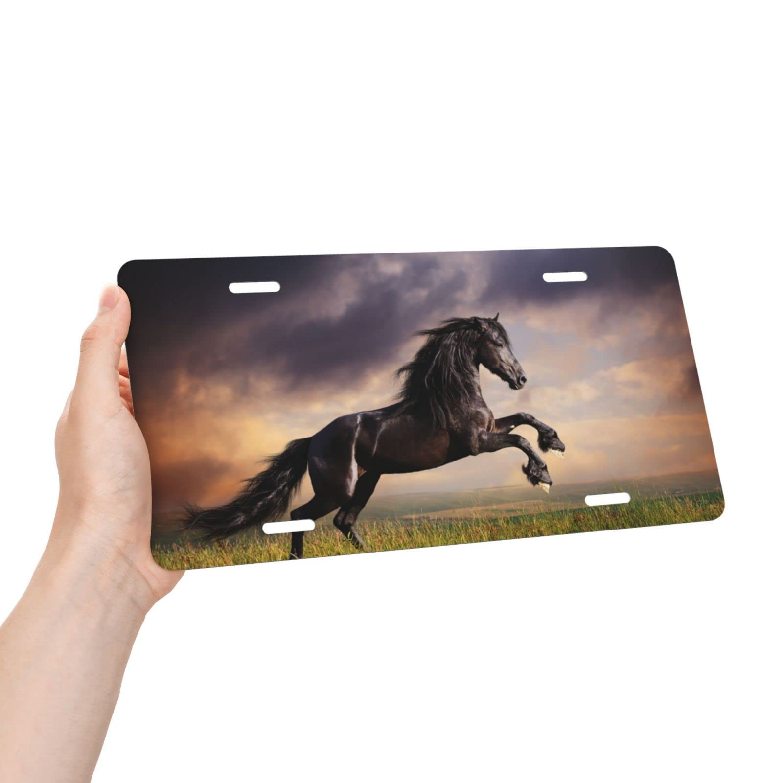 Daiwugou Friesian Black Horse Running License Plate ,Decorative
