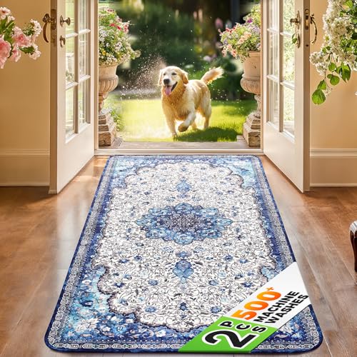 Hompet 2-Pack Super Absorbent Door Mat