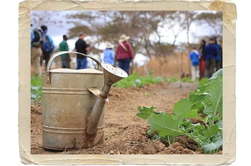 Miniatura 2 de Cacahuetes hervidos para un propósito hermoso! - 3 latas de cacahuetes hervidos cajún y 3 latas de cacahuetes hervidos regulares en una lata! Los