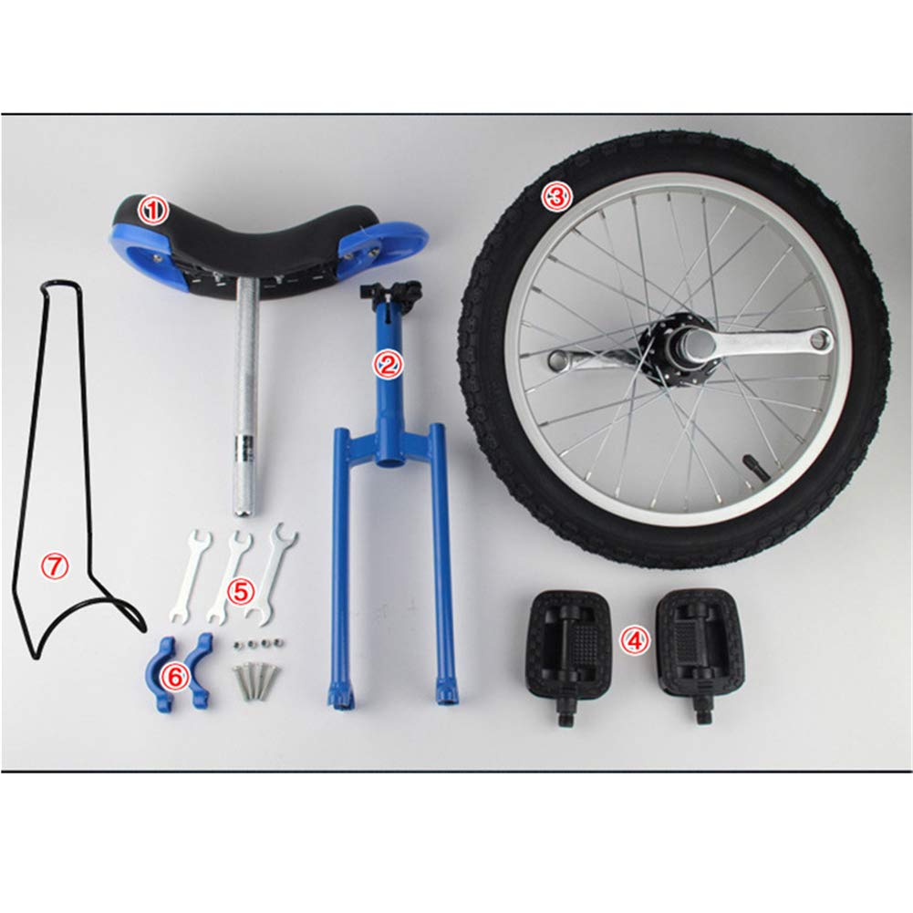 Monocycle 24 Pouces Fitness - Roue D'extérieur Bleue - Cyclisme Sport