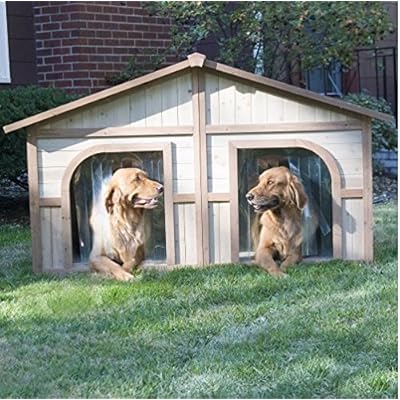 Spacious Two-Door Solid Wood Dog House for Large Taiwan Ubuy