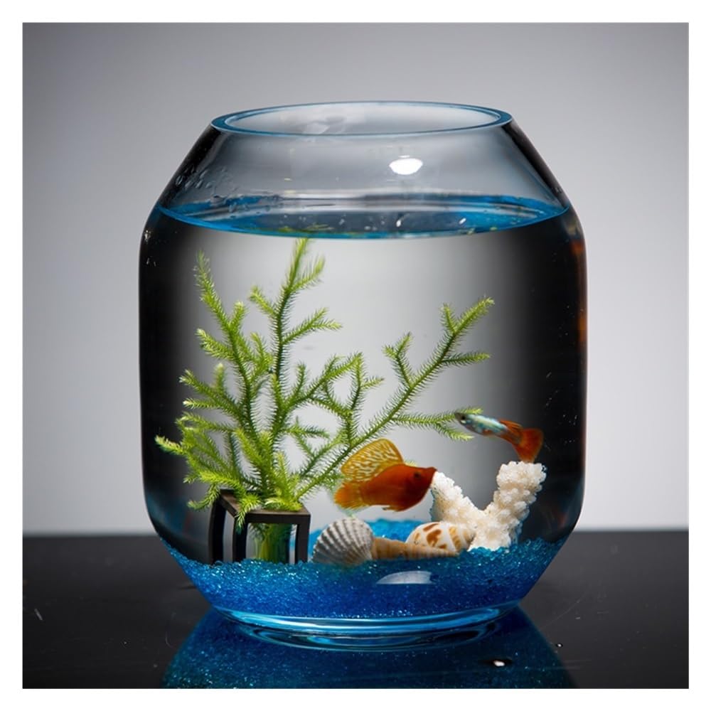 Aquarium Transparentes Glas-Aquarium, kleines Zuchtbecken, dekoratives Mini-Aquarium for Wohnzimmer, Schreibtisch oder Wohnzimmer