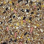 Leagrams Spring & Summer Wild Bird Seed Mix (12.55kg) | High-Energy Blend for Tits, Robins & Finches
