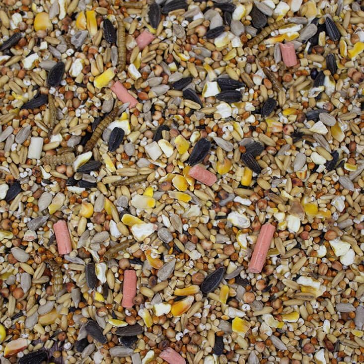 Leagrams Spring & Summer Wild Bird Seed Mix (25.1kg) | High-Energy Blend for Tits, Robins & Finches
