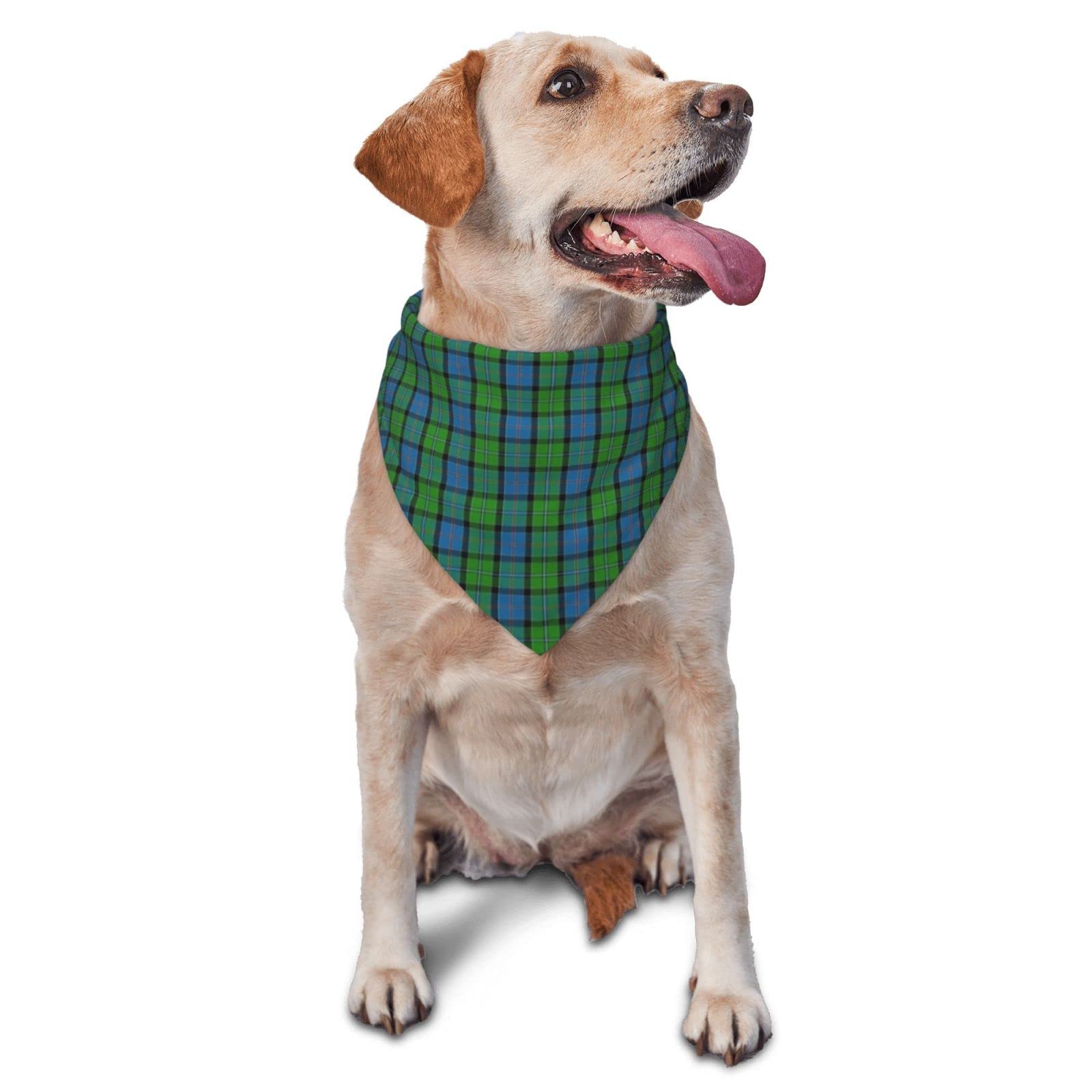 Sipeigyd Pet Triangle Scarf, Clan Stirling Scottish Tartan Plaid pet cat and Dog Scarf, Pet Clothing Accessories, Plaid Pet Scarf, for Small to Large Dogs Cats