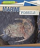  Marine Fossils (Fossil Files)