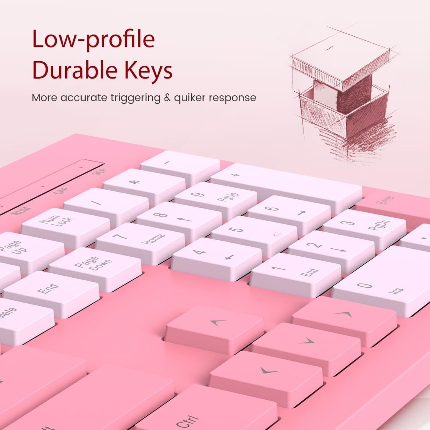 Tastiera USB Computer Cablata, Layout Italiano, Tasti Chiclet Silenziosi, Antiriflusso, Tastiera Numerica, Stabile Pieghevole, Indicatori Caps, Lettere Indelebi, Rose Pink, Pack of 1