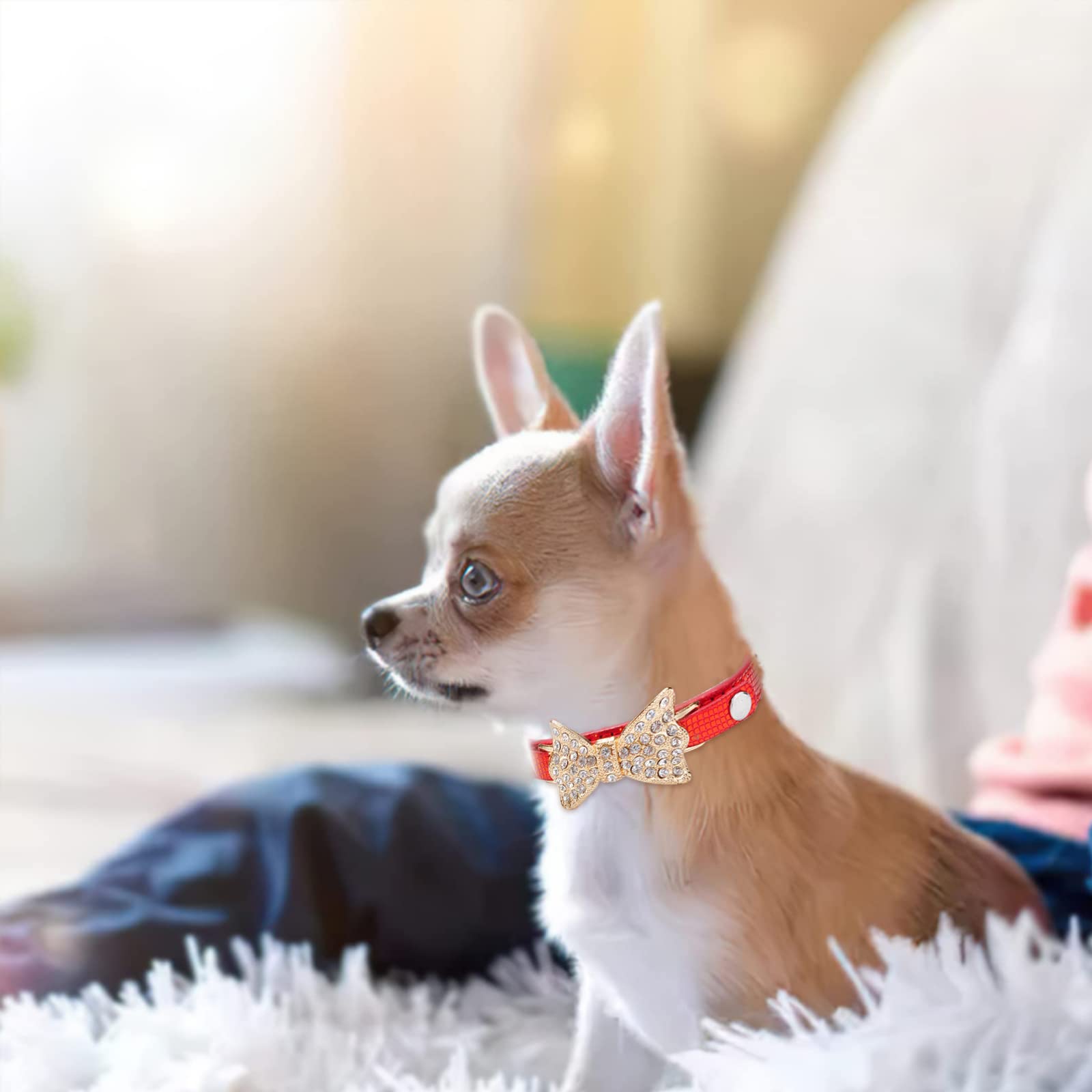Small Dog Collars 3 Pack Bling Collar with Bells Teacup Chihuahua Collar Adjustable Chihuahua Collar Small Dog Collar Girl Miniaturel Dog Leather Necklace Rhinestone Dog Collar Neck 7.08 9.44in Amazon...