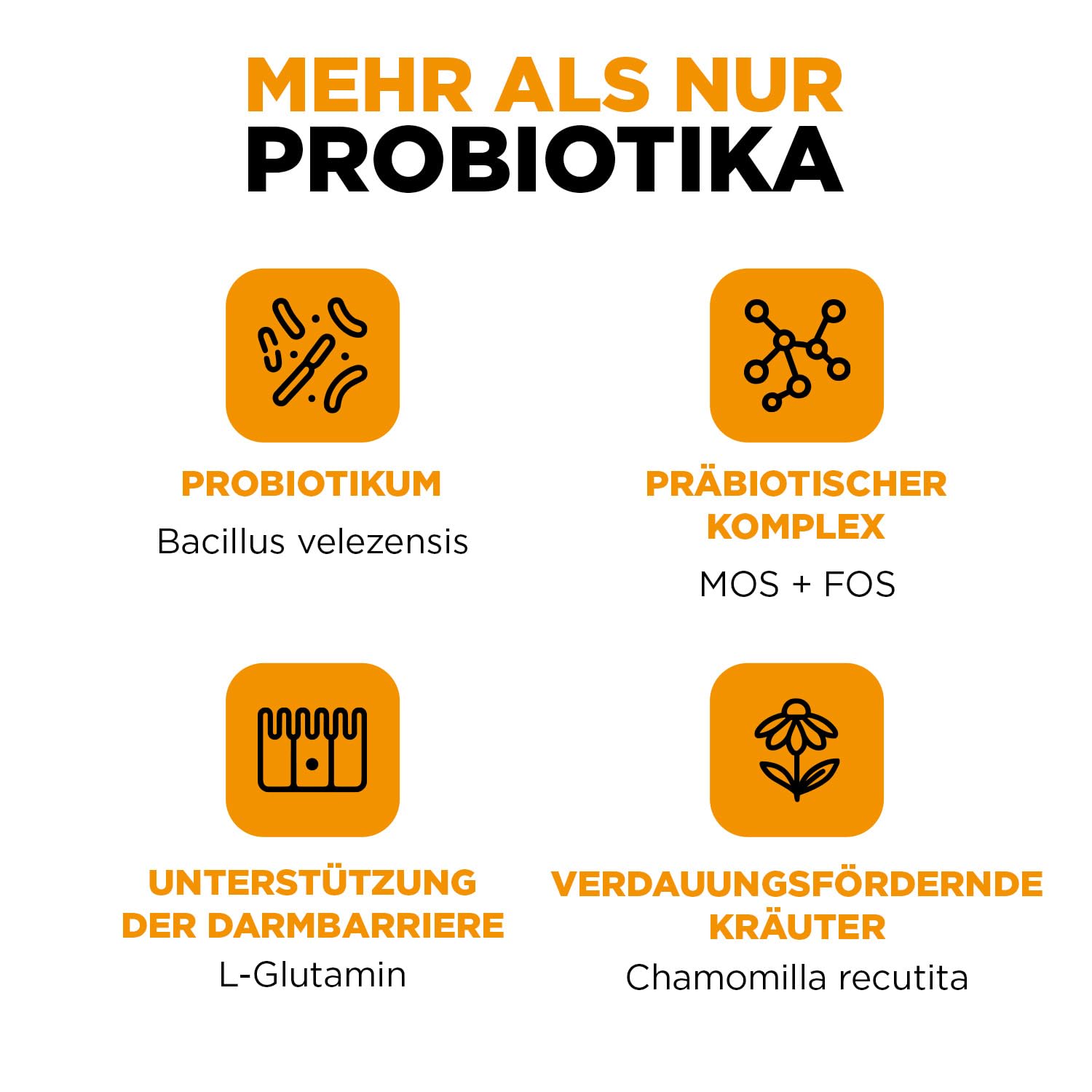 ProbioVet+ ANTI-PRURITO e Sollievo Leccamento Zampe - Stop al Grattamento - Probiotici Cani con Bacillus Velezensis e L-Glutammina - Salute Intestinale e Immunitaria - 60 Snack
