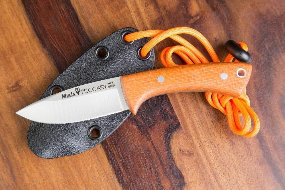 Muela Cuchillo EDC deportivo PECCARY PECCARY-8.O con hoja de acero MoVa de 8 cm y empuñadura de micarta negra de 8,5 cm para Caza, Pesca, Supervivencia y Bushcraft + Portabotellas de regalo