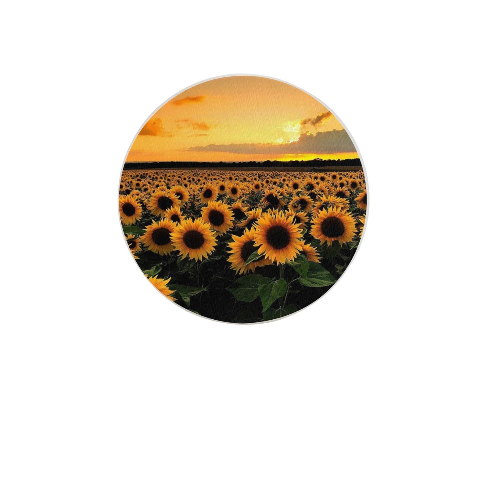 Sunflowers Landscape Two Pieces Coaster Heat-Resistant Reusable Saucers for Drinks Wine Glasses Plants Cups Mugs