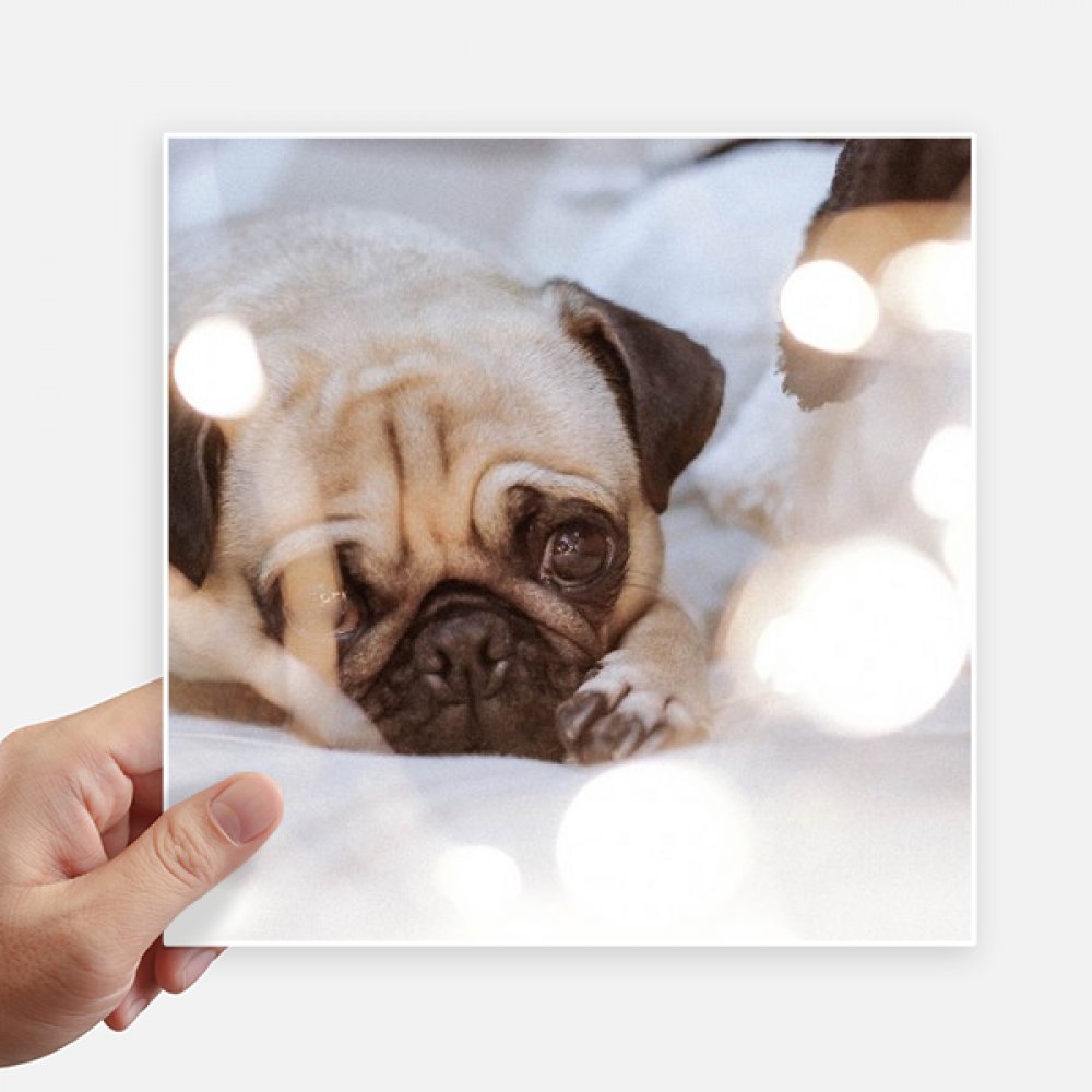 Pegatinas de bulldog para moto y portátiles que personalizan tu equipaje de viaje