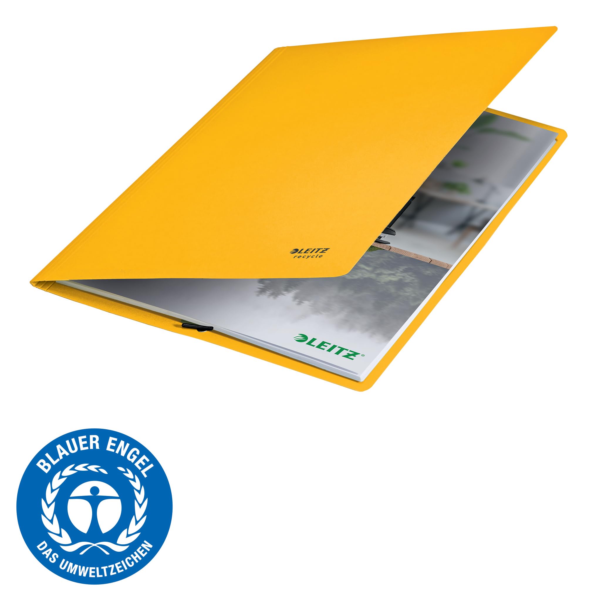 Leitz - Carpeta De 2 Anillas (A4, Tamaño Grande), Color Negro, Amarillo