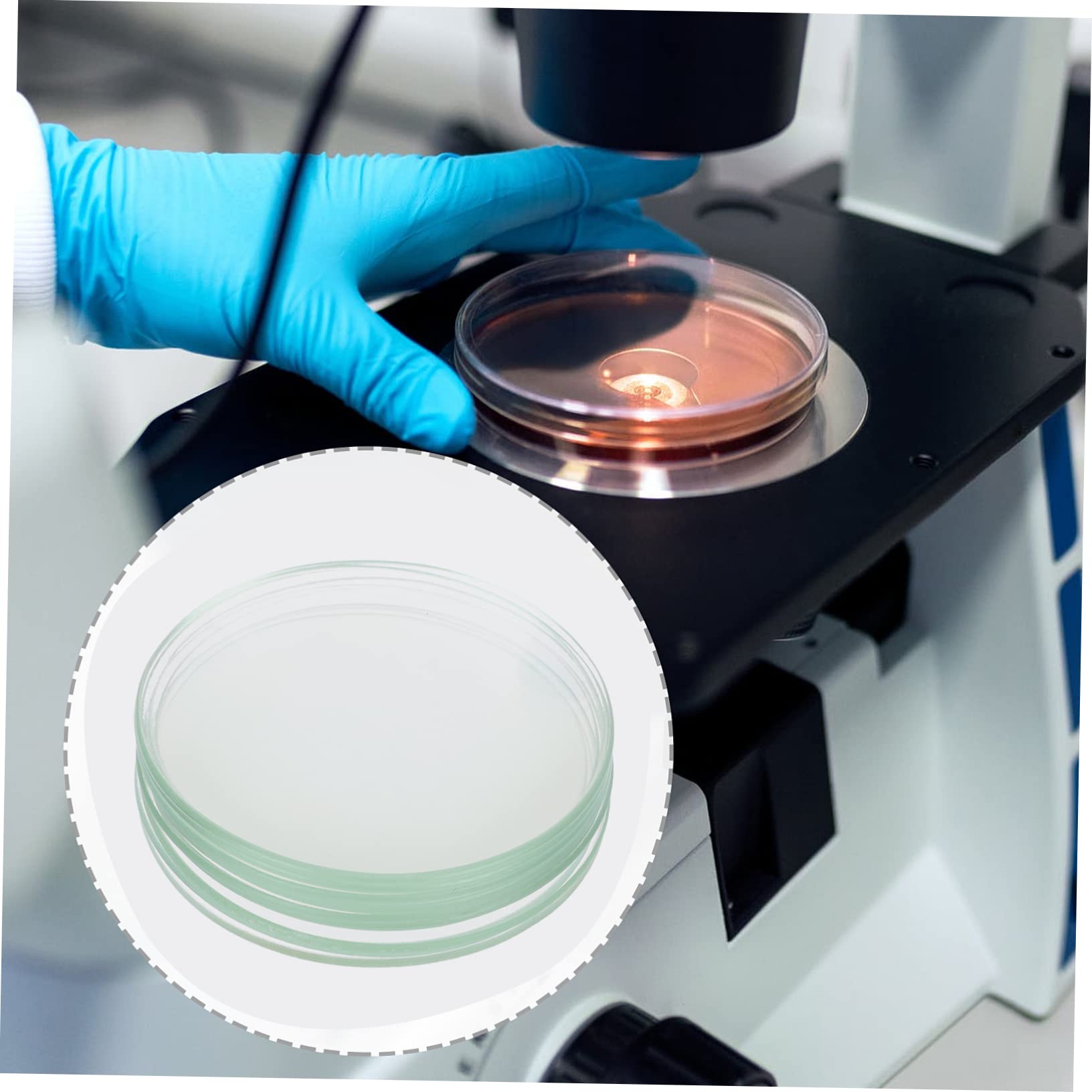 Vetri da Orologio da Laboratorio 10 Pezzi in Vetro Rotondi | Superficie Piana, Uso per Esperimenti Scientifici e Centri, Robusti e Non Facili da Deformare