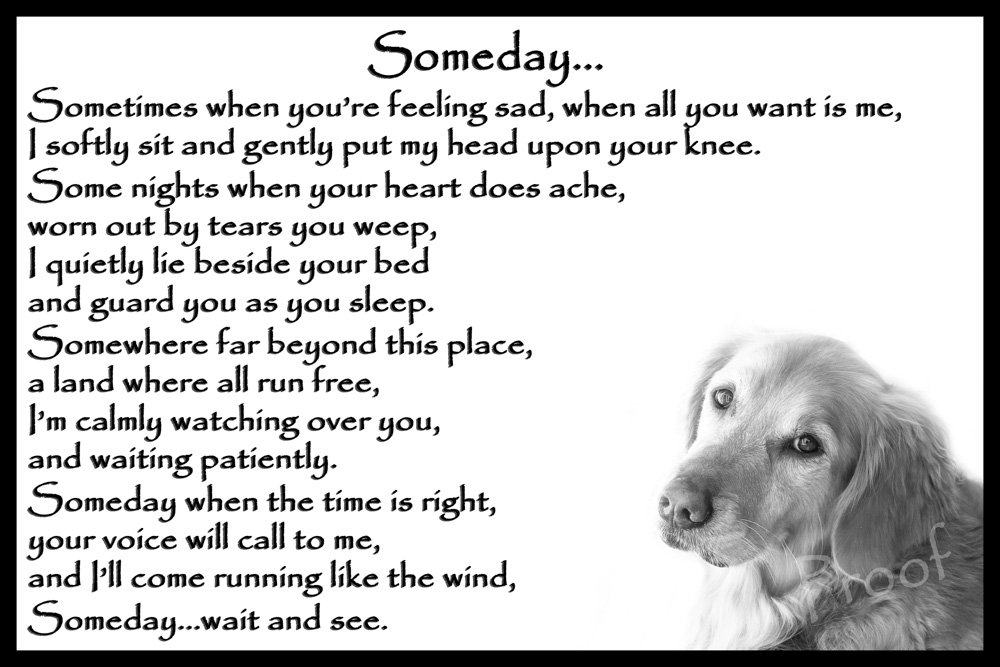 Golden Retriever Pet Dog Bereavement Memorial Flexible Fridge Magnet - Someday