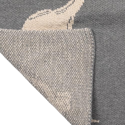 Image of Creative Co-Op Cotton Knit Baby Blanket with Dinosaurs, 40 inch L x 32 inch W