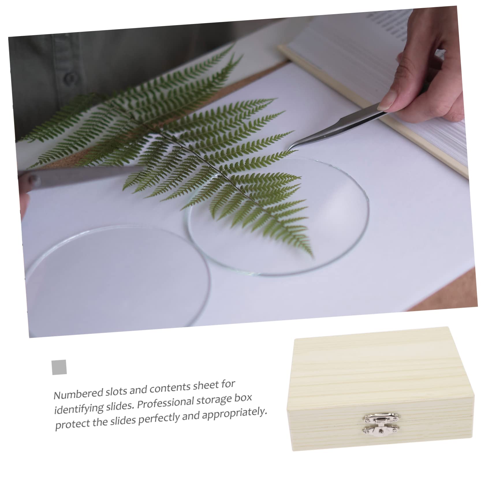 Cabilock 3er-packung Biologische Slice-box Mikroskopische Objektträger Deckel Mini-drehmaschine Tragbar Gitter Bausatz Blindmikroskop -objektträger Und Deckgläser Korb Beige Holz