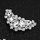 HJYHYN Hochzeit Schuhclips Damen Brautschmuck Silberne Schuhschnalle Schuhe Clips Schuhclips Strass
