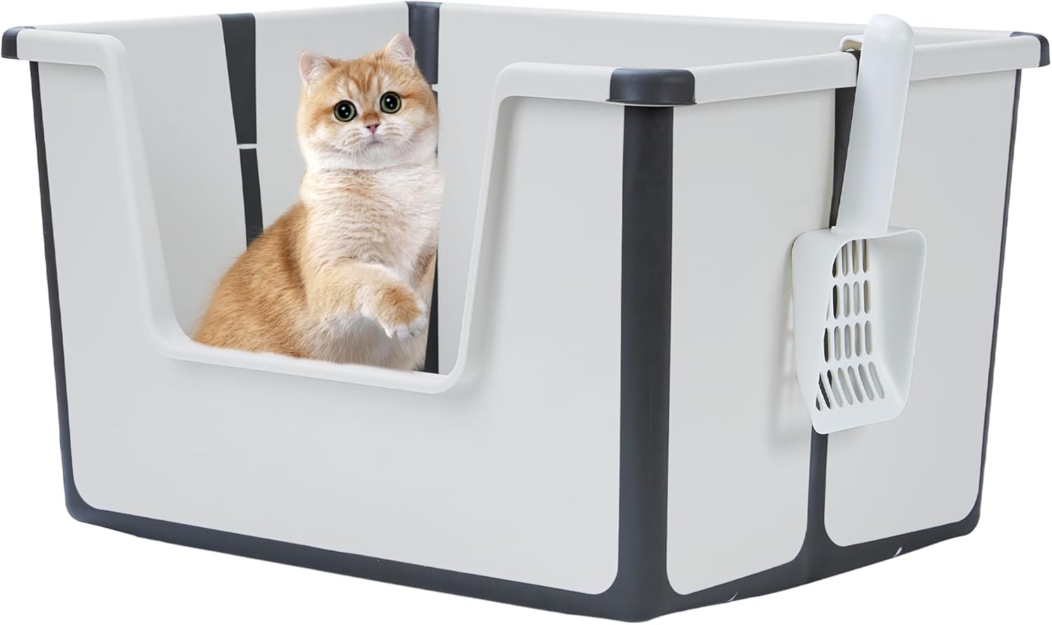 Vealind Foldable Cat Litter Box with High Sides Small Kitty Litter Box for Kitten Low Entry Cat Litter Tray with Cat Litter Scoop, Grey, Medium