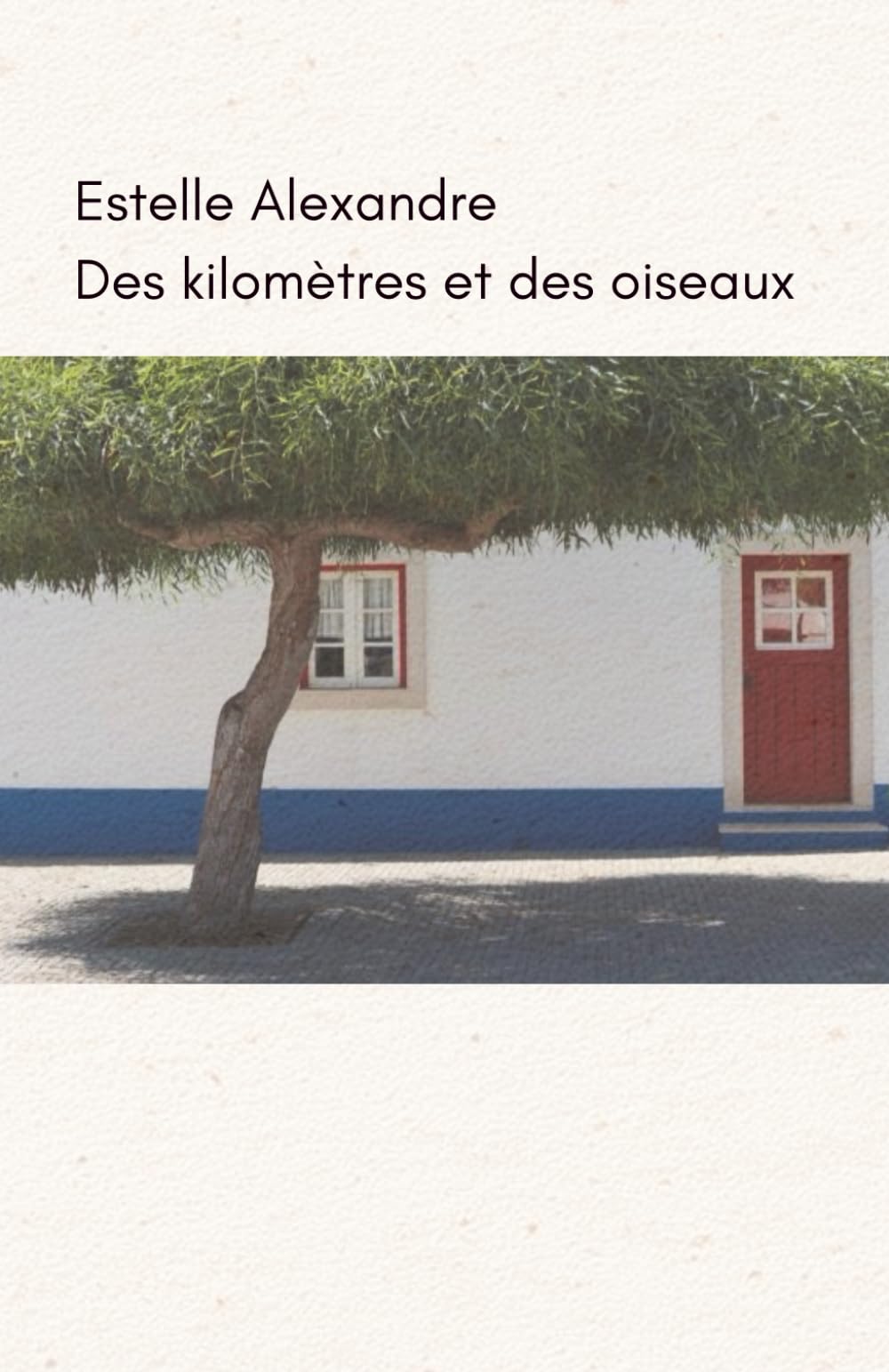 Des kilomètres et des oiseaux