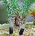 AQUANEAT Aquarium Air Stones 1 inch 12 Pack, Bubble Stone, Aerator Bubble...