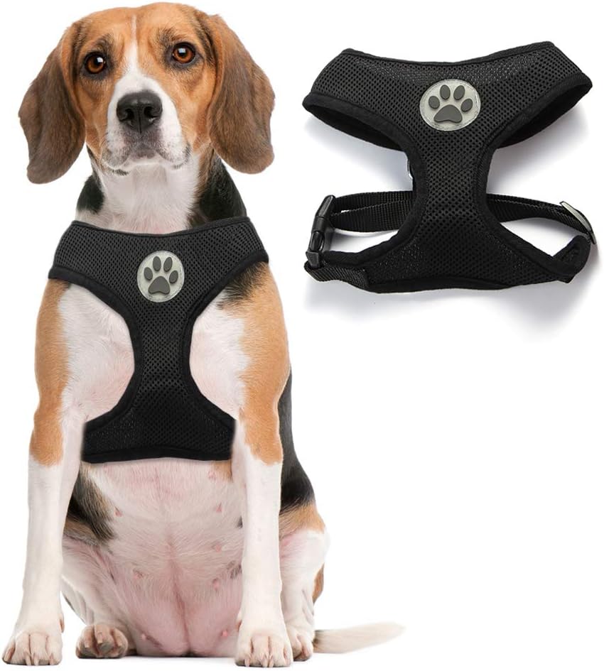 bingpet harness
