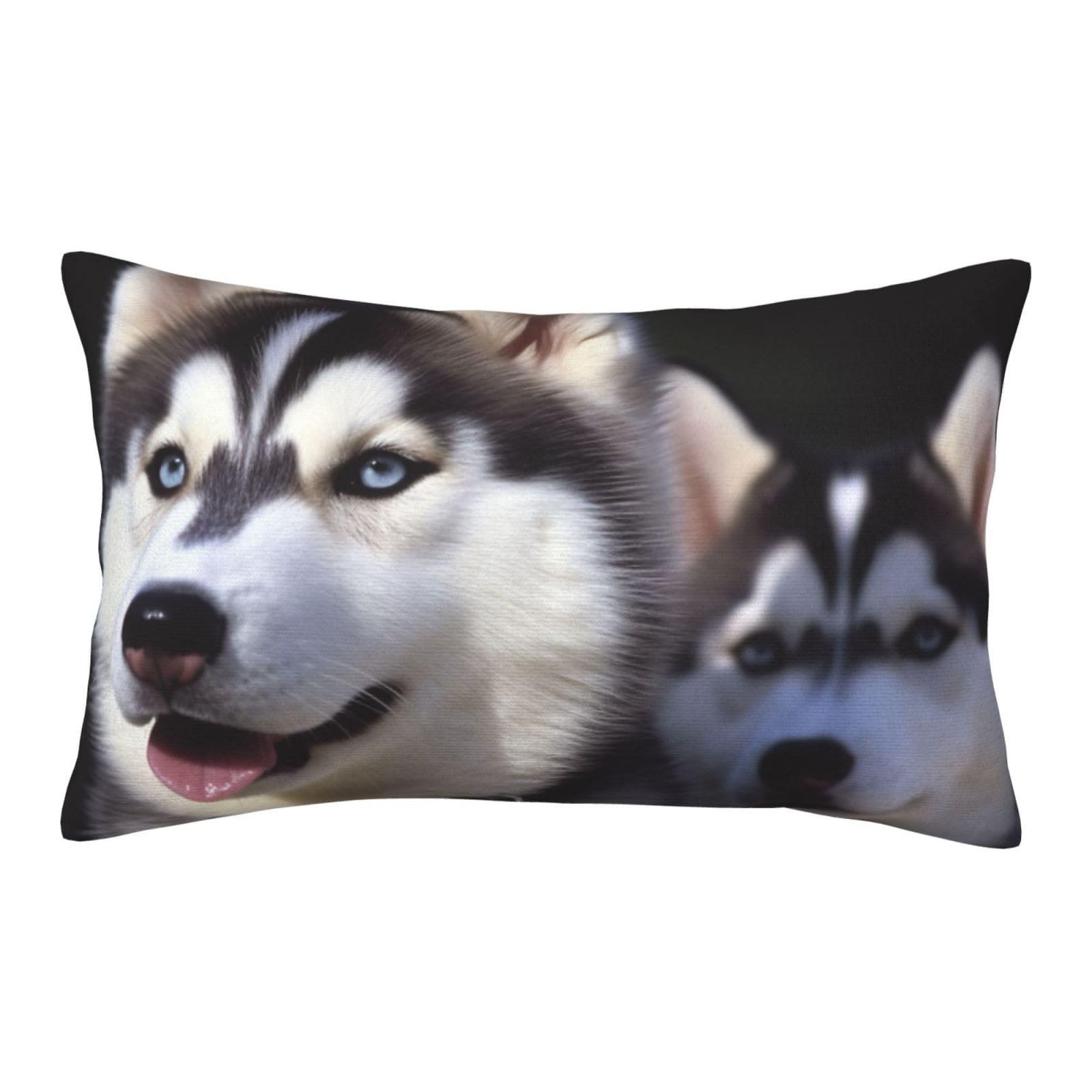 Velvet Pillowcases 20"x30" Ultra Soft Breathable Pillow Cases, Luxury Fuzzy Throw Pillow Covers with Zipper, Husky Dog Pillow Shams All Seasons Decorative Cushion Cases for Couch