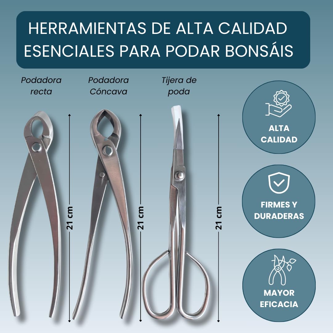 Kit Herramientas Bonsái Profesional – Estuche Para Mantenimiento de Bonsais con Tijeras, Podadora Cóncava y Podadora Recta Esenciales para el cuidado