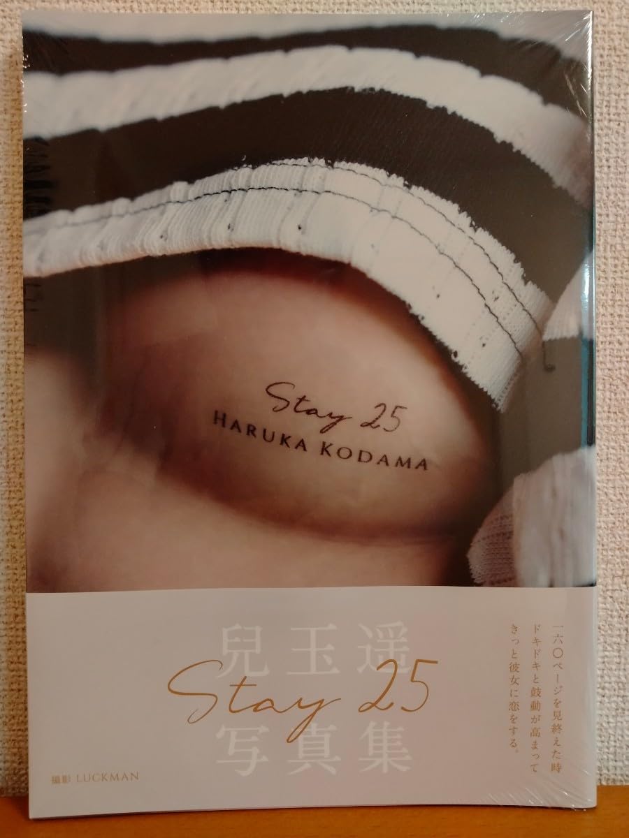 ⭐︎写真集＋パンフレット　セット 国宝 吉田修一 上下 / 映画パンフレット セット - メルカリ