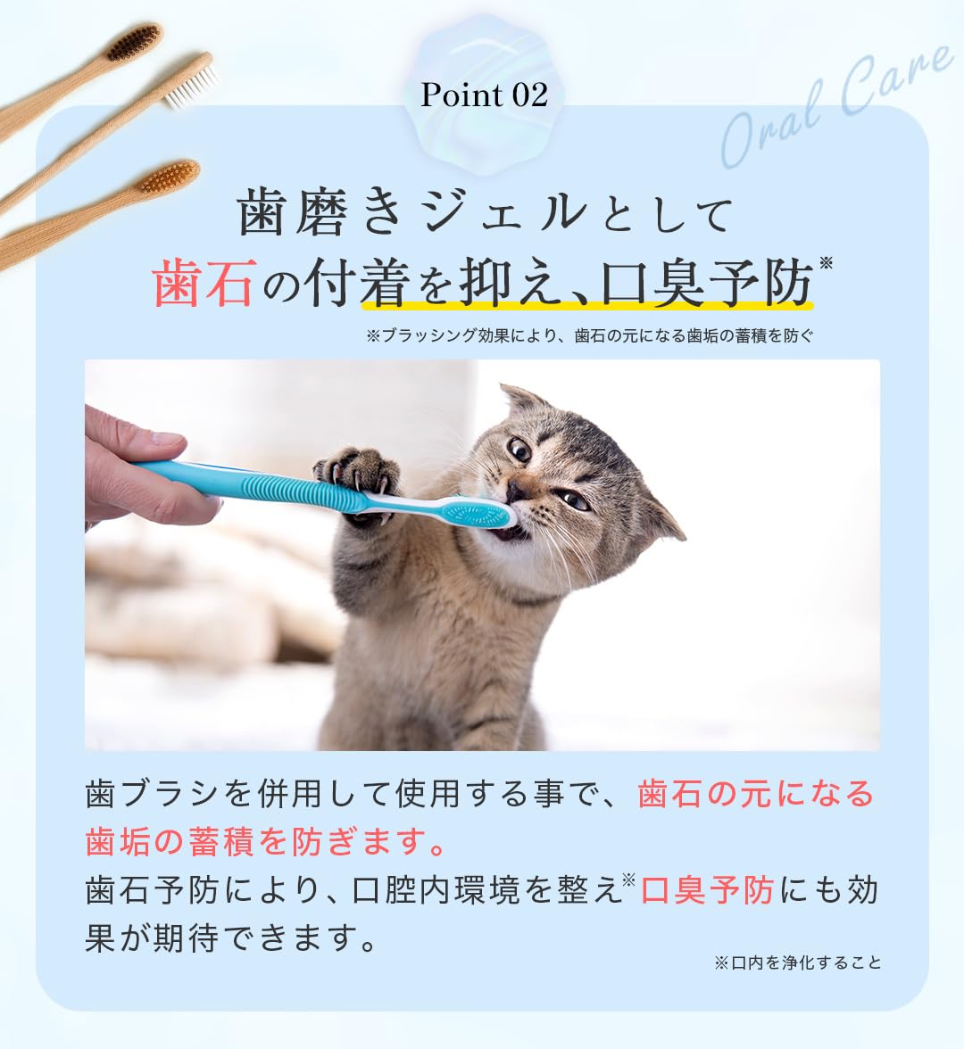 Amazon.co.jp: ミシュワン MISHONE トータルケアニャン 猫 歯磨き