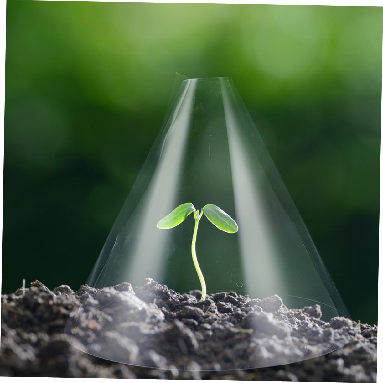 Cloche de Protection pour Plantes, Lot de 30, Plastique Réutilisable