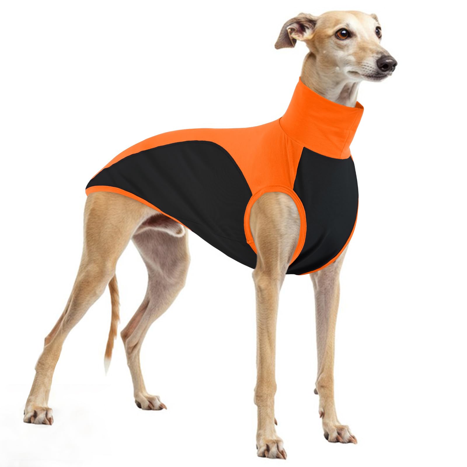Maglitta Levrieri, Lurcher Maglietta Saluki Felpa Levrieri Gilet Maglietta per Cani con Protezione Solare per Attività All'aperto(Arancione, L)