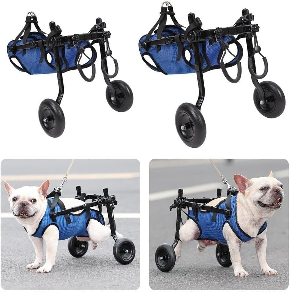 Amazon.co.jp: 小型犬用車椅子、犬用カート 調節可能 2輪 ペット/犬用