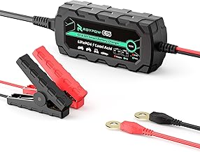 RoyPow LiFePO4 Battery Charger, 14.4V/1A 7.2V/1A Battery Charger, Trickle Charge, Battery Activated LED Lamp, Reverse Connection, Short Circuit & Over Voltage & Over Current Protection