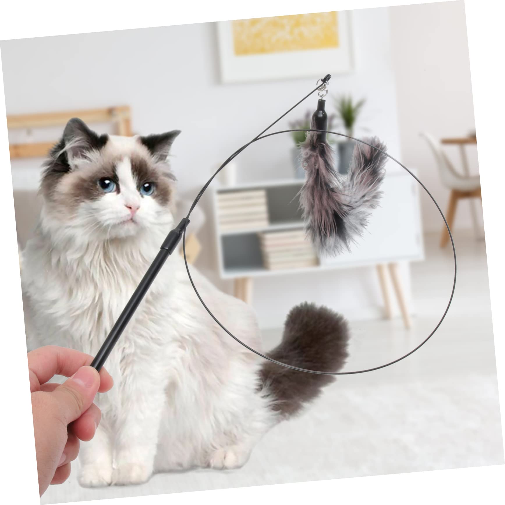 FRCOLOR Jouet pour Chat - avec Clochette - Jouet pour Chaton - interactif - pour Animaux de Compagnie - Canne à pêche pour Chat
