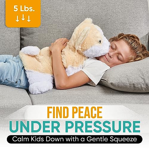 Image of FRIENDLY CUDDLE Weighted Lap Blanket for Kids & Adults - Kids Weighted Blanket - ASD, Sensory Processing Weighted Stuffed Animals Dog Toy - Microwavable Weighted Lap Pad for Kids, 5 Lbs