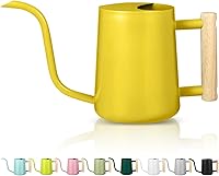 Vista 15 de Regadera para Plantas de Interior, 35oz Regadera Pequeña de Metal de Acero Inoxidable para Interiores, Regadera Decorativa Moderna con Boquilla