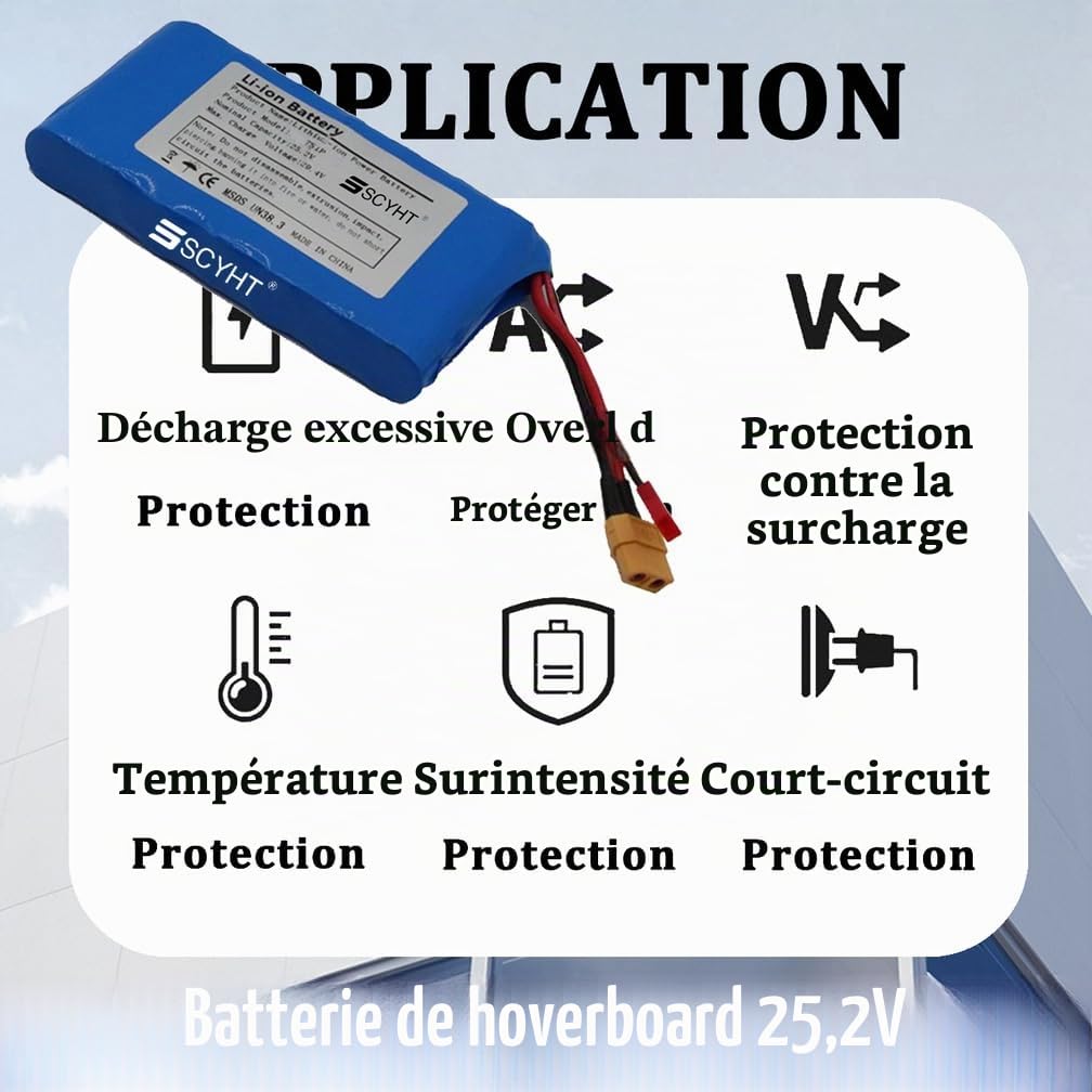 Batterie au Lithium 25,2 V Batterie Rechargeable 4 Ah 6 Ah Batteries de Remplacement 7S1P Batteries Hoverboard pour Moteur 50 W - 105 W avec Ports XT60 et JST,25.2v6ah 1pack