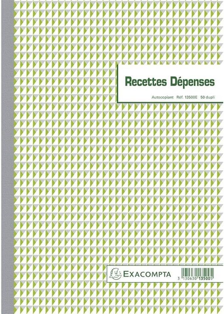 EXACOMPTA Manifold "​Recettes-​Dépenses" 297 x 210 mm 50 feuillets dupli