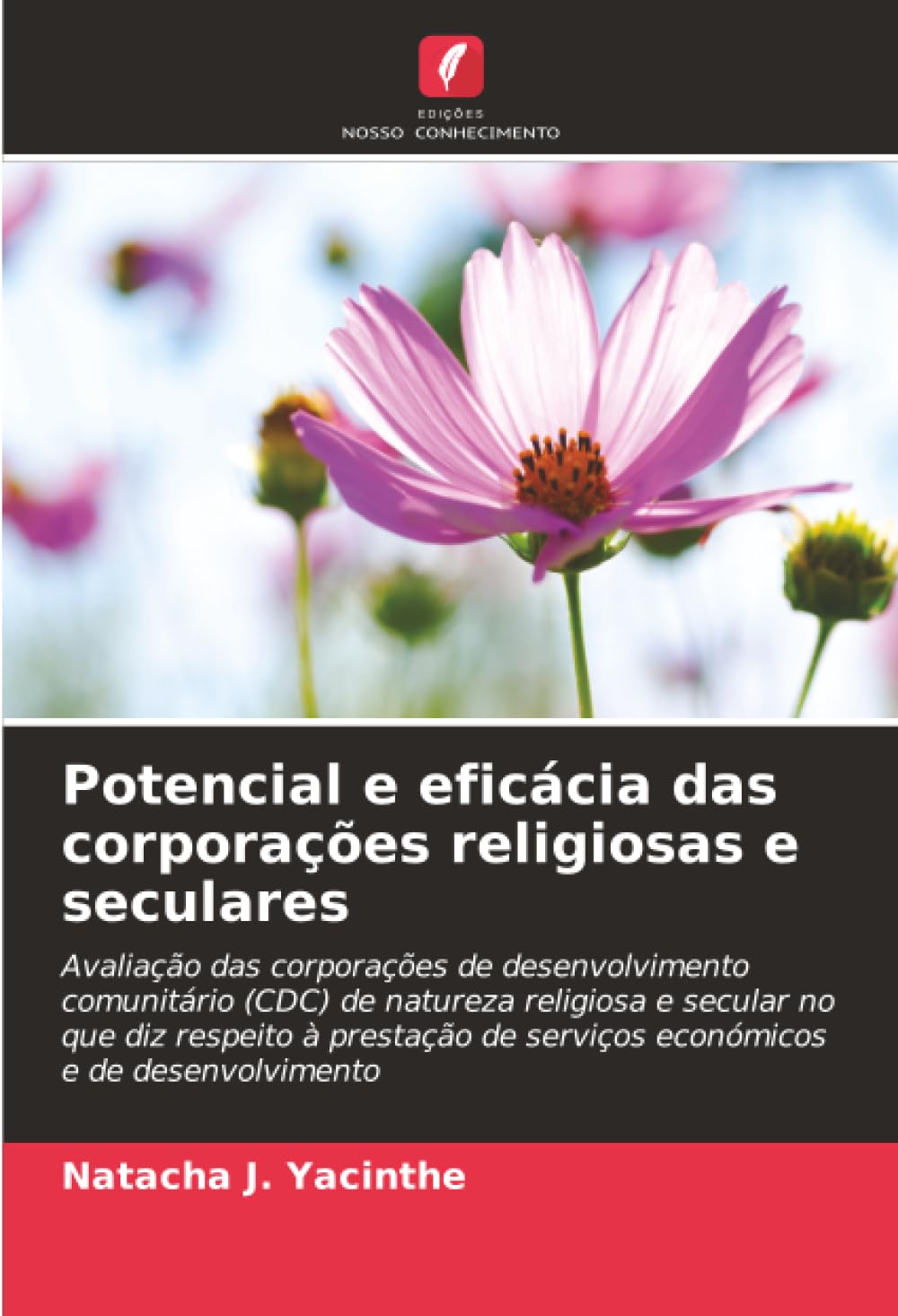 Potencial e eficácia das corporações religiosas e seculares: Avaliação das corporações de desenvolvimento comunitário (CDC) de natureza religiosa e ... de serviços económicos e de desenvolvimento